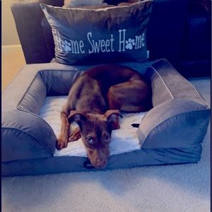 Meet your Posher, Dawnita